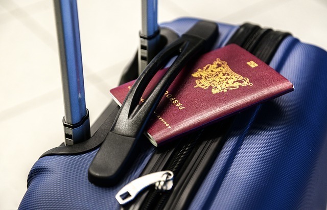パスポートケースおすすめ19選【おしゃれ】人気ブランドやスキミング防止付きなどご紹介！ | マイナビおすすめナビ