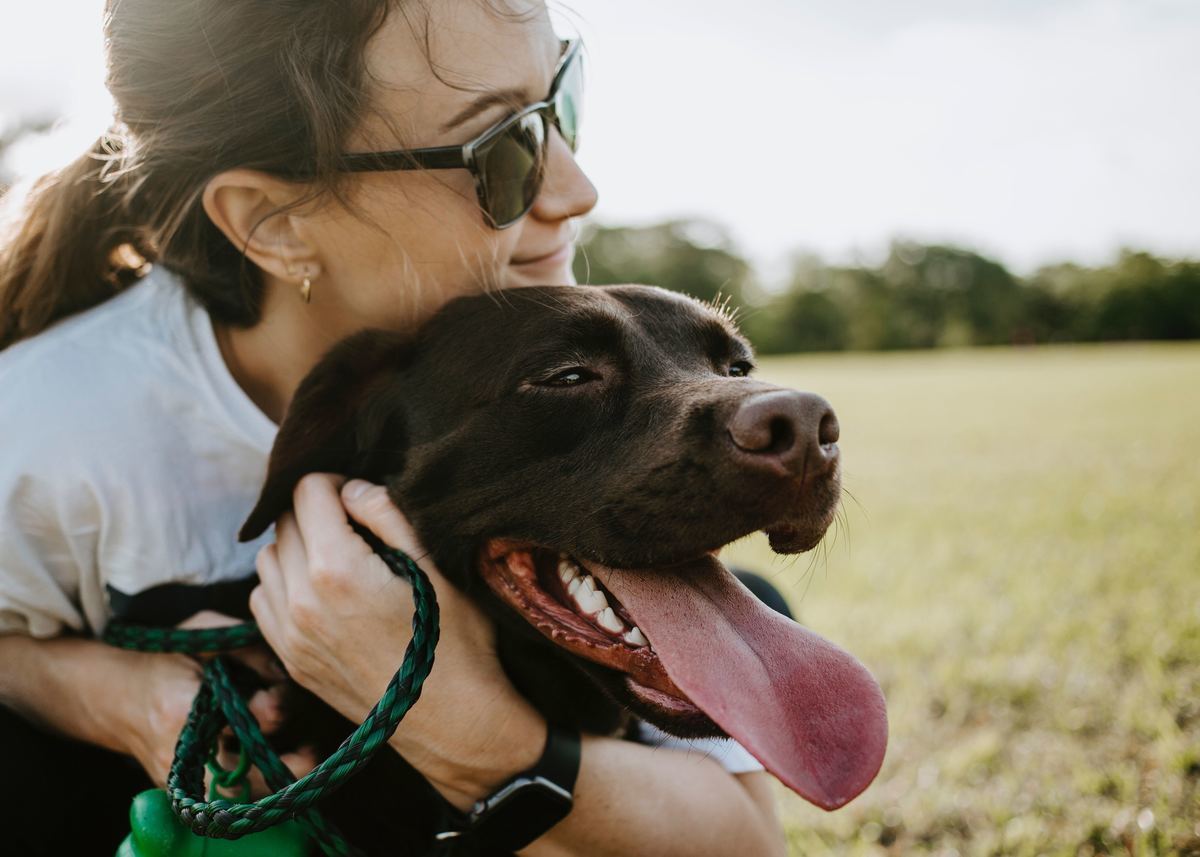 缶詰ドッグフードおすすめ12選 愛犬の健康維持に 無添加タイプやシニア用も マイナビおすすめナビ