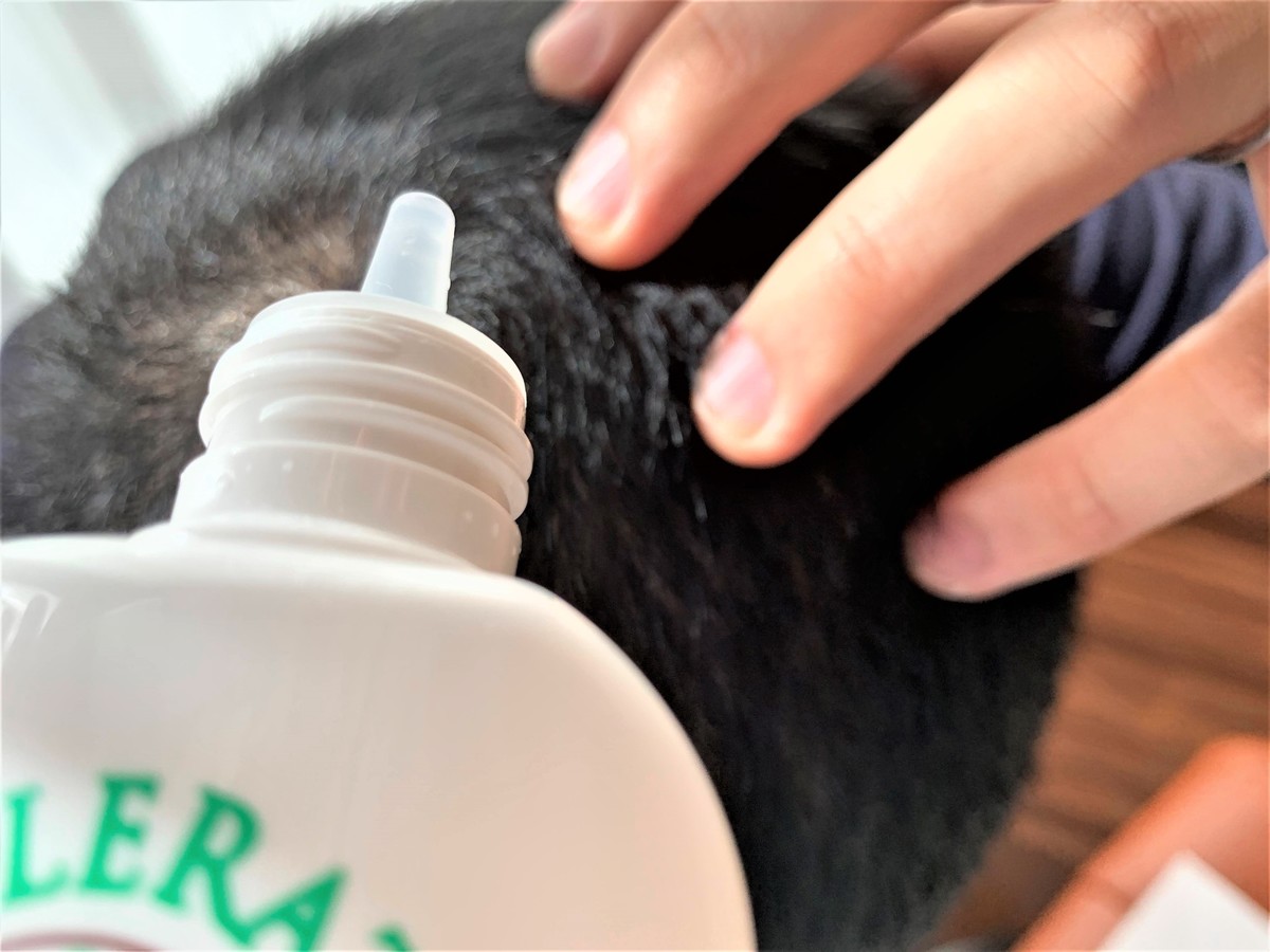 髪がどんどん伸びる ヘアアクセルレーター 6種の有効成分の効果など検証レビュー マイナビおすすめナビ