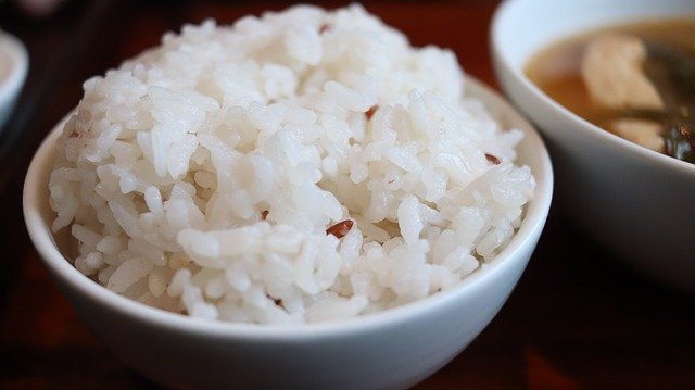 ラクな無洗米も】胚芽米のおすすめ10選｜ビタミンB群が豊富！ | マイナビおすすめナビ