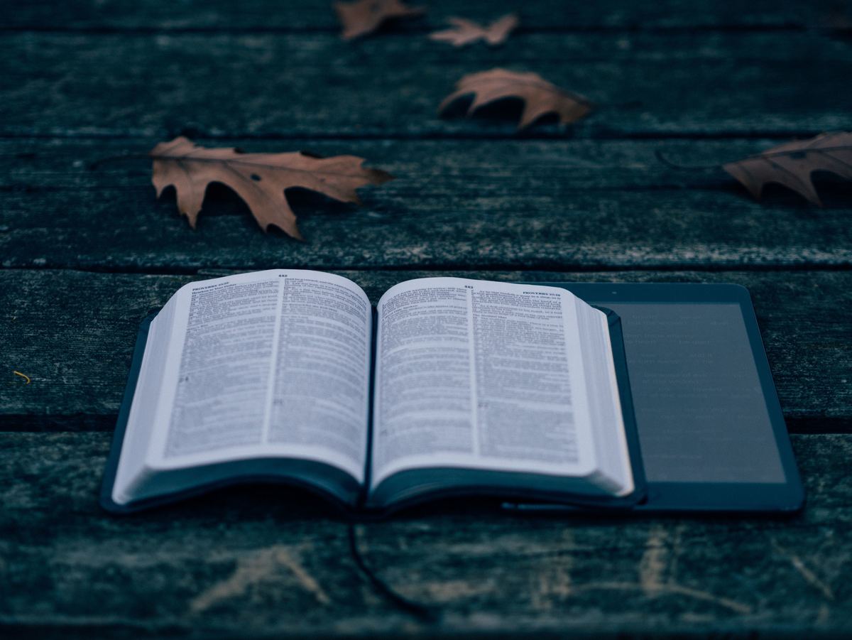 置かれた辞書