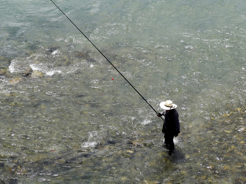 鮎竿のおすすめ15選 鮎釣りで人気のダイワ シマノの特徴や調子を徹底解説 マイナビおすすめナビ