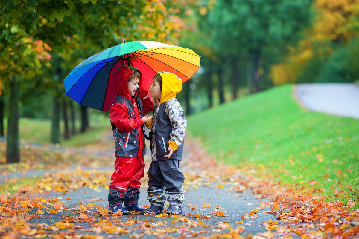 丈夫でおしゃれ】子供用傘おすすめ5選｜幼児向けや小学生用など！ サイズの選び方も | マイナビおすすめナビ