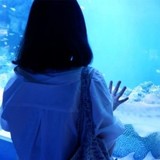 矢崎 海里のアイコン画像