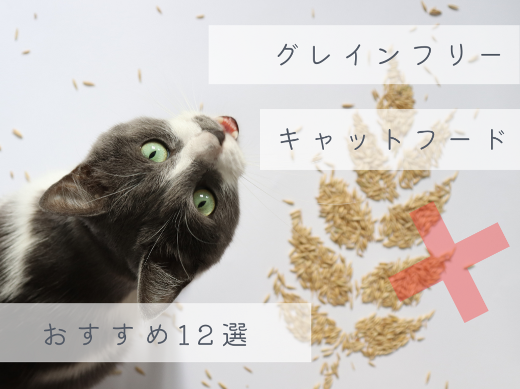 市販のグレインフリーキャットフード人気おすすめ14選｜穀物アレルギーの猫ちゃんに